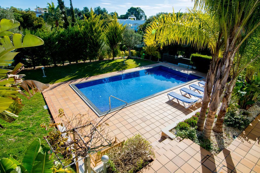 Pine Tree - Da Coelha - Appartement *