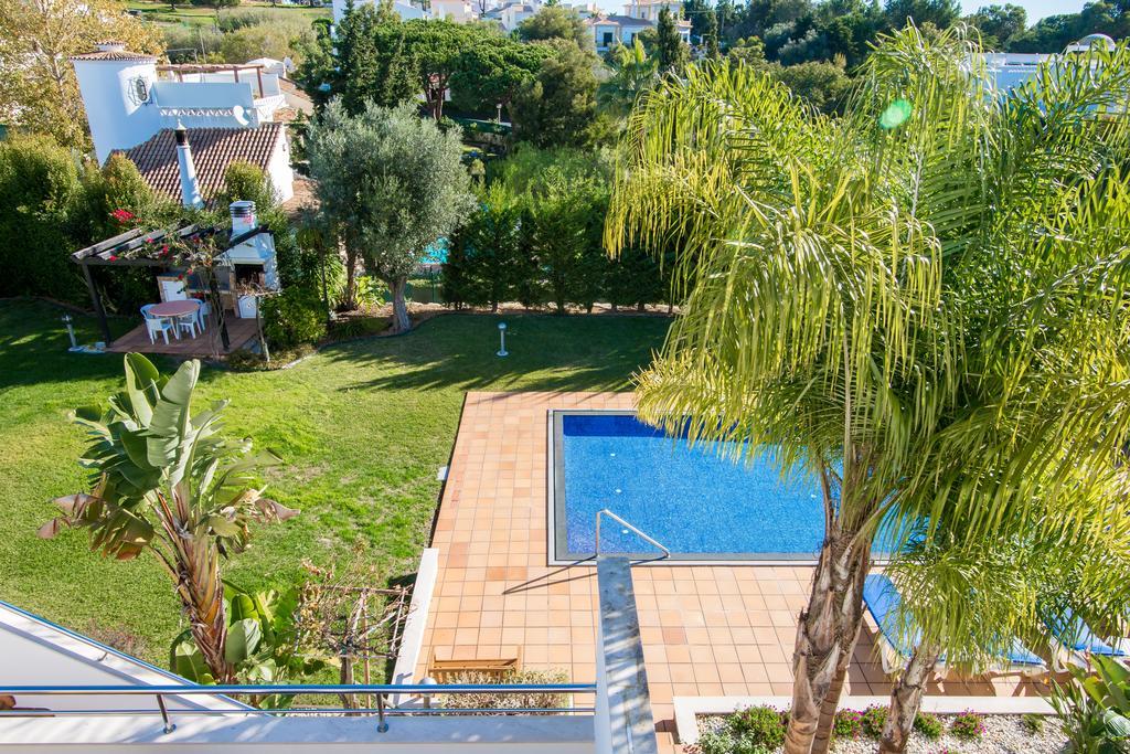 Pine Tree - Da Coelha - Appartement *